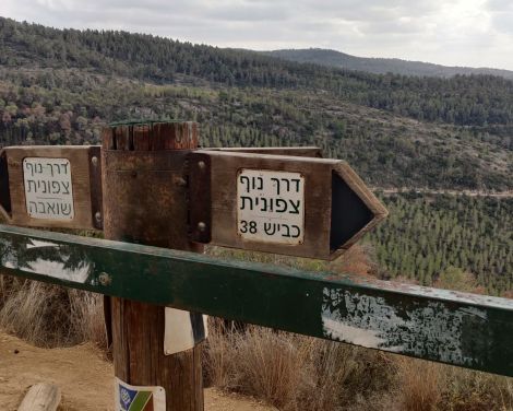 תמונה מתוך למטייל בישראל (טיולי)