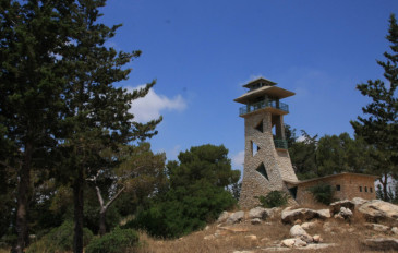 יום כיף באזור הגליל המערבי: יער עם אינספור חוויות ומפגש עם אבירים אמיתיים (2)