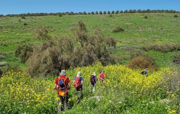 מסלול אתגרי ורטוב לאורך שביל עמק המעיינות (3)