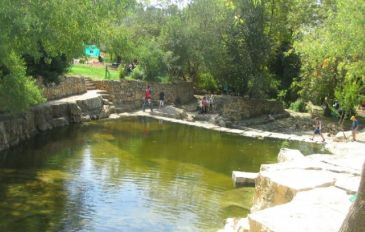 יום העטלף (3)