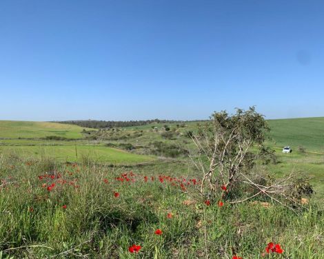 תמונה מתוך למטייל בישראל (טיולי)