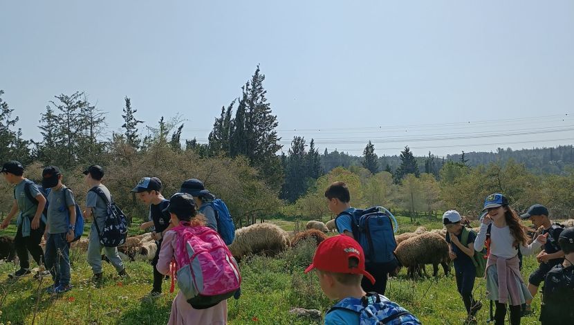 תלמידים בטיול בית ספר | אילוסטרציה, למצולמים אין קשר לכתבה - איך ממשיכים לטייל? האסון בטיול בצפון מראה שהשפעות המלחמה יישארו איתנו שנים קדימה (1)