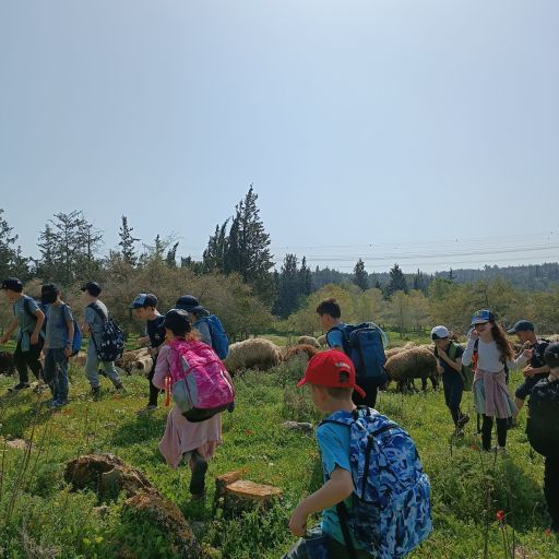 איך ממשיכים לטייל? האסון בטיול בצפון מראה שהשפעות המלחמה יישארו איתנו שנים קדימה
