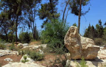 יער בן שמן - לתשומת לב המטיילים: קק