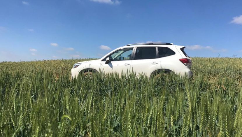 טיול 4X4 בנגב המערבי: לא תאמינו שגם זה במדבר! (1)