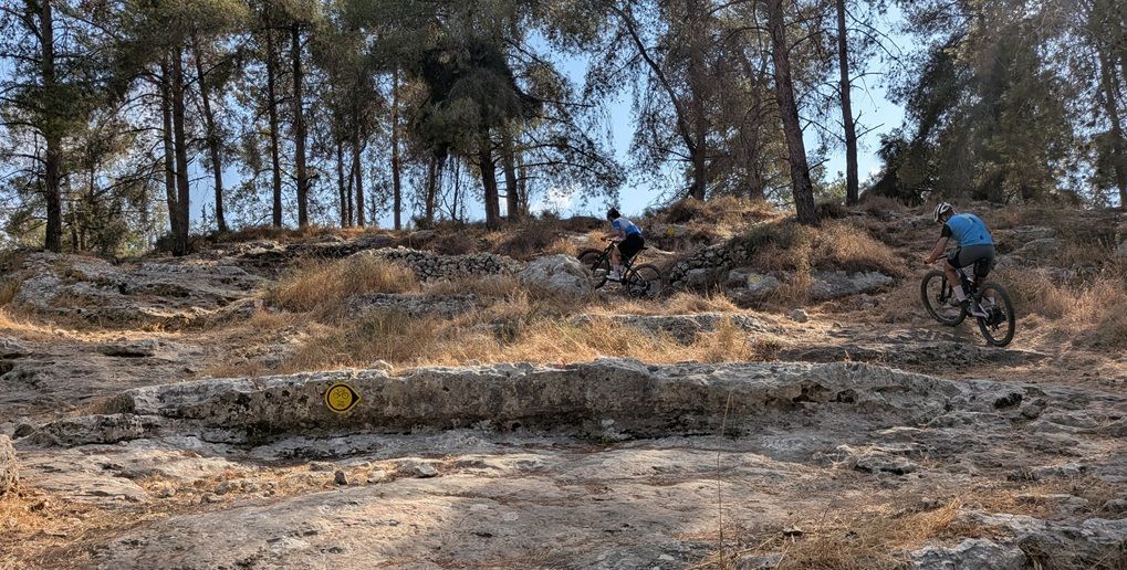 הטיפות הצהובות מסמנות את הכיוון | צילום: אריק פלדמן, ארכיון הצילומים של קקל