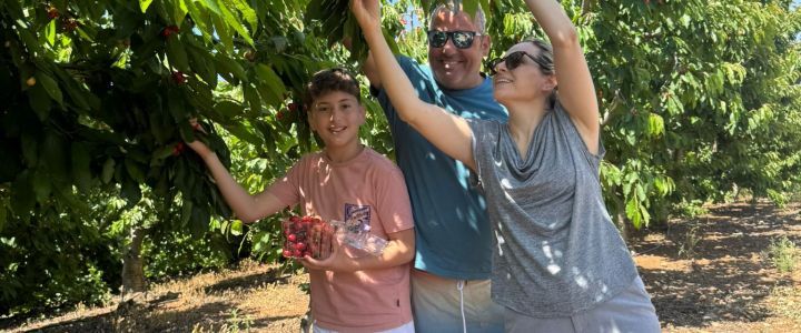 קטיף עצמי רוני – חוויה מתוקה בצפון רמת הגולן (1)