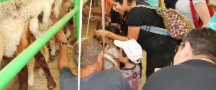 חוות נעמ