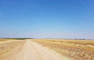 קטע מספר 23: מבית גוברין לתל קשת (3)