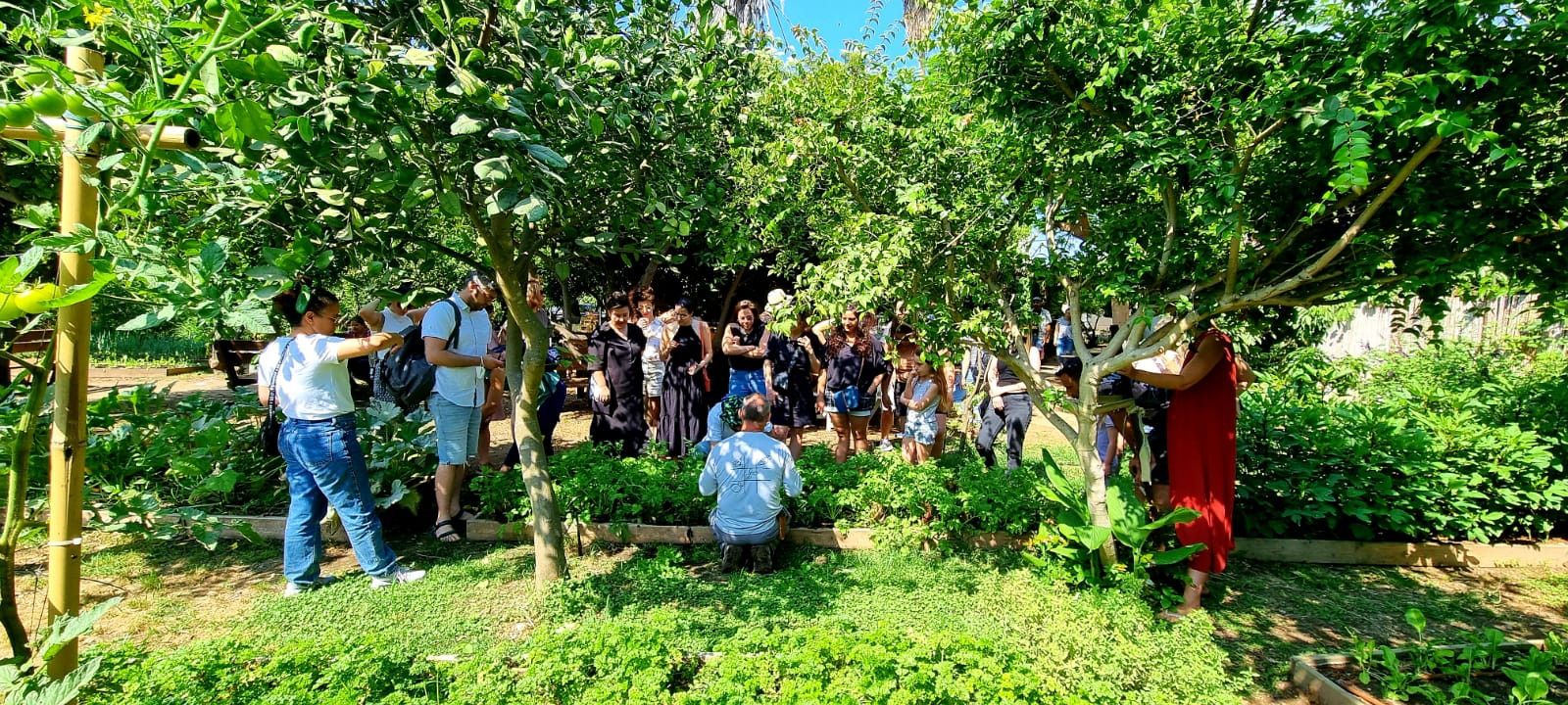 צילום: באדיבות משק הלברכט – גינת אוכל