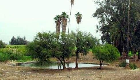 תמונה של קטע מספר 5: מחניון נחל עמוד לעין נון - למטייל בישראל (טיולי)