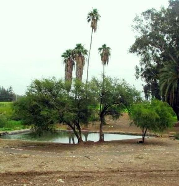 תמונה של קטע מספר 5: מחניון נחל עמוד לעין נון - למטייל בישראל (טיולי)