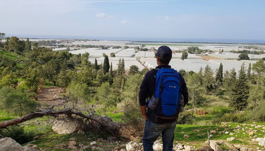 תצפית ביער עופר | צילום: אביחי שקד