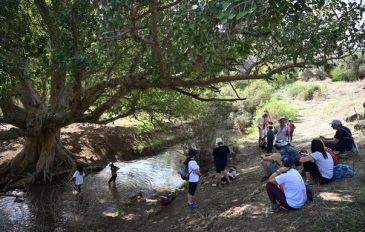 נחל צלמון זורם לכנרת (2)