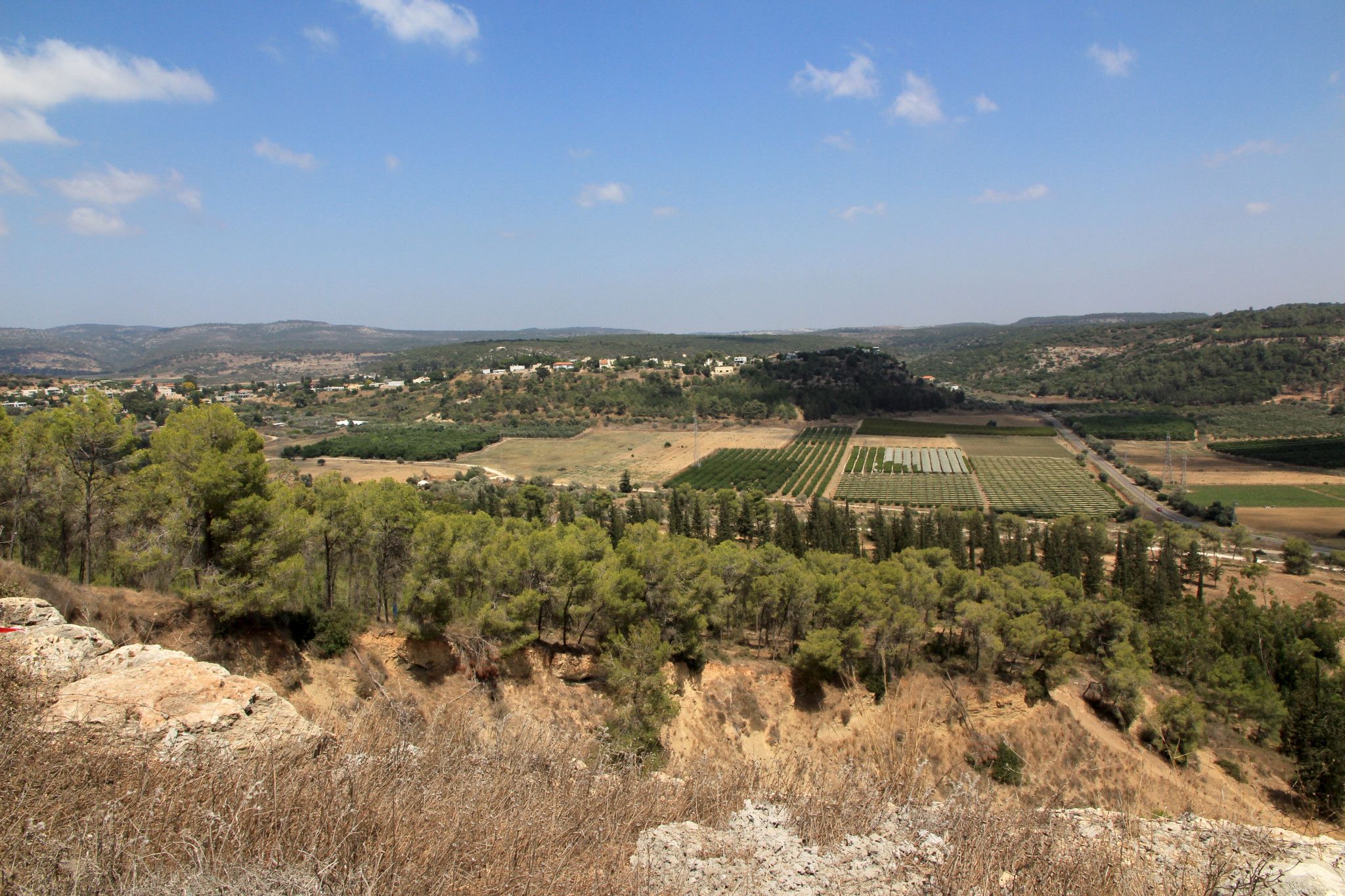 תצפית ביער עופר | צילום: יעקב שקולניק / מערך הסברה קקל