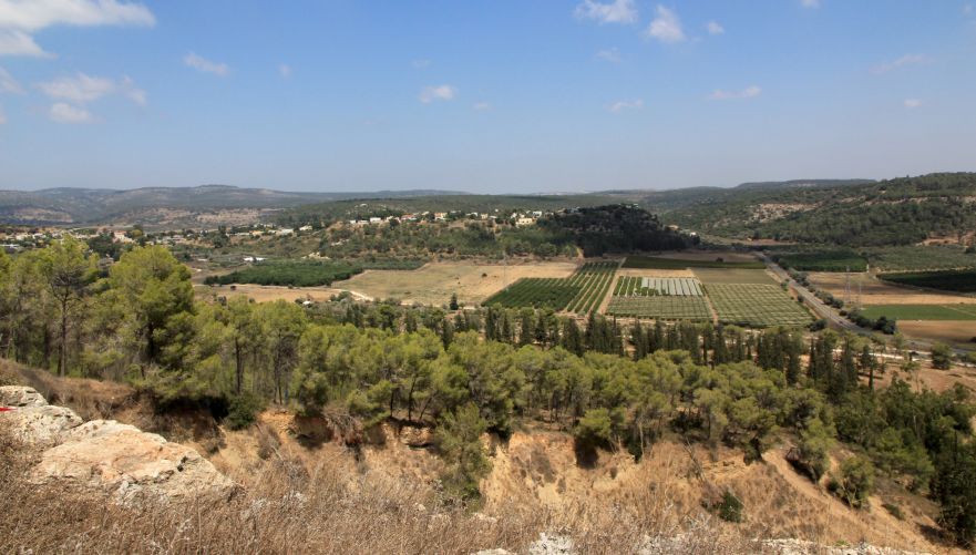 תצפית ביער עופר | צילום: יעקב שקולניק / מערך הסברה קקל