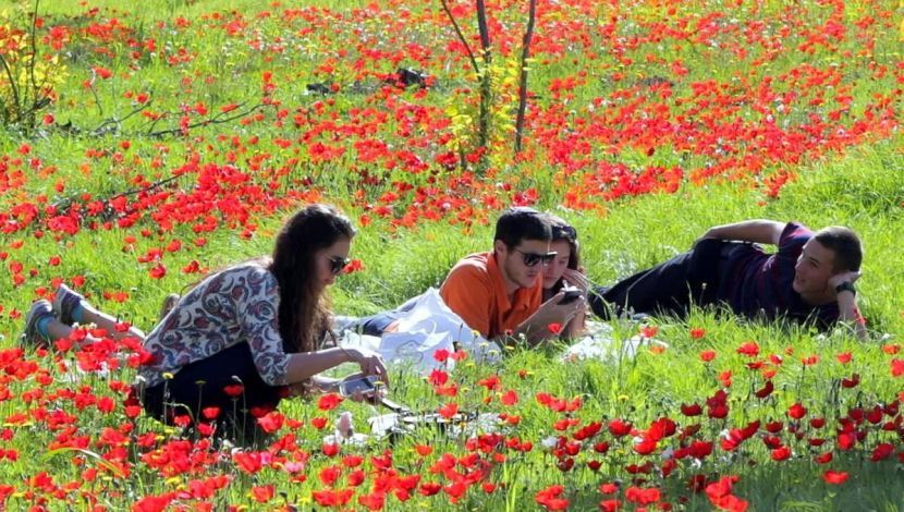 כלניות, שמש ושלווה בצפון הנגב - טיול ולילה: כלניות, שמש ושלווה בצפון הנגב (1)