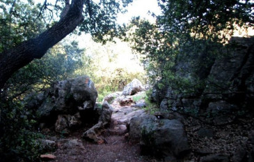 נחל קדש (3)
