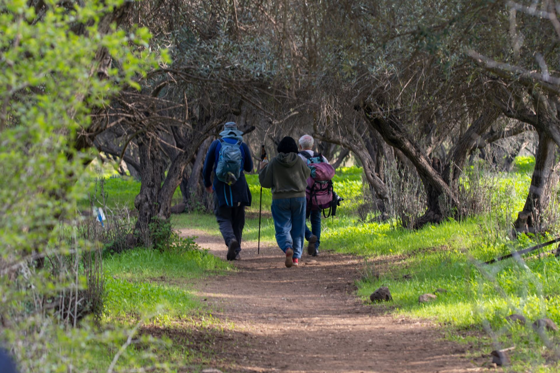תמונה מתוך אתר למטייל בישראל (טיולי)