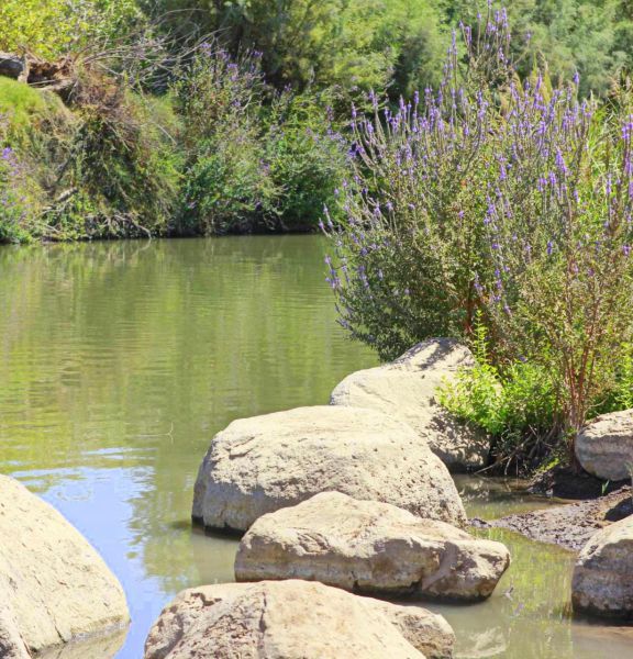תמונה של מעיינות ברמת הגולן: טיול רטוב ומרענן לאורך דרך הפטרולים - למטייל בישראל (טיולי)