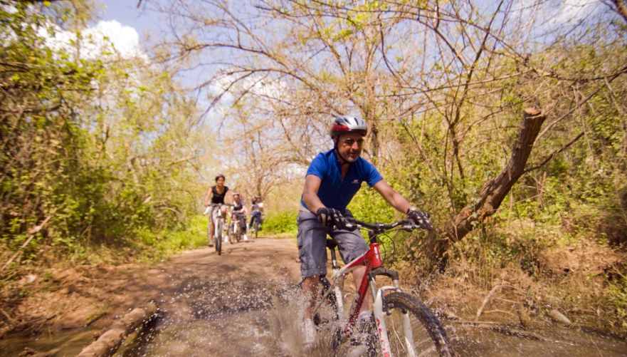 טיולי אופניים בגליל ובגולן | צילום: רענן באופן