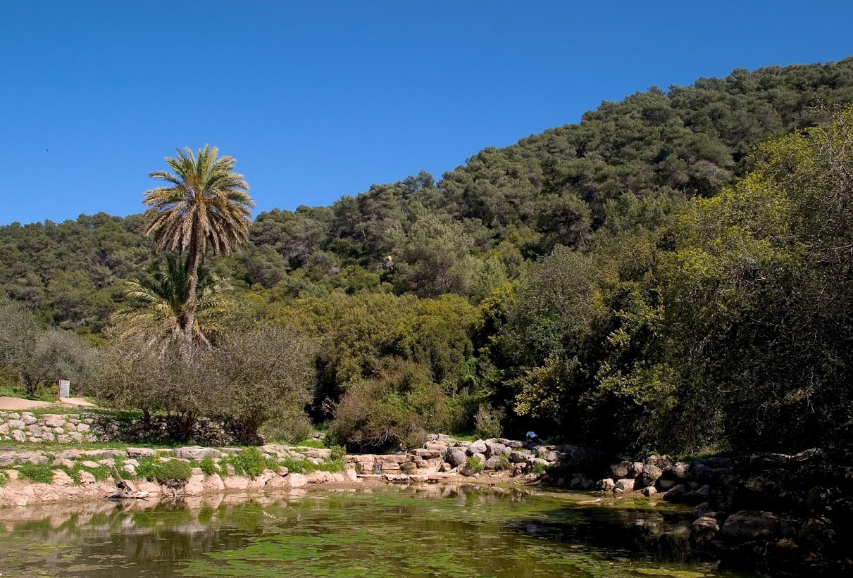 תמונה מתוך תוכן באתר למטייל בישראל (טיולי)