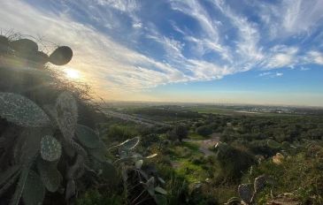 תל חדיד - בוחרים את הכנסת ה-26, ויוצאים לטייל ב-26 מסלולים ונקודות עניין על שביל ישראל 4X4 (2)