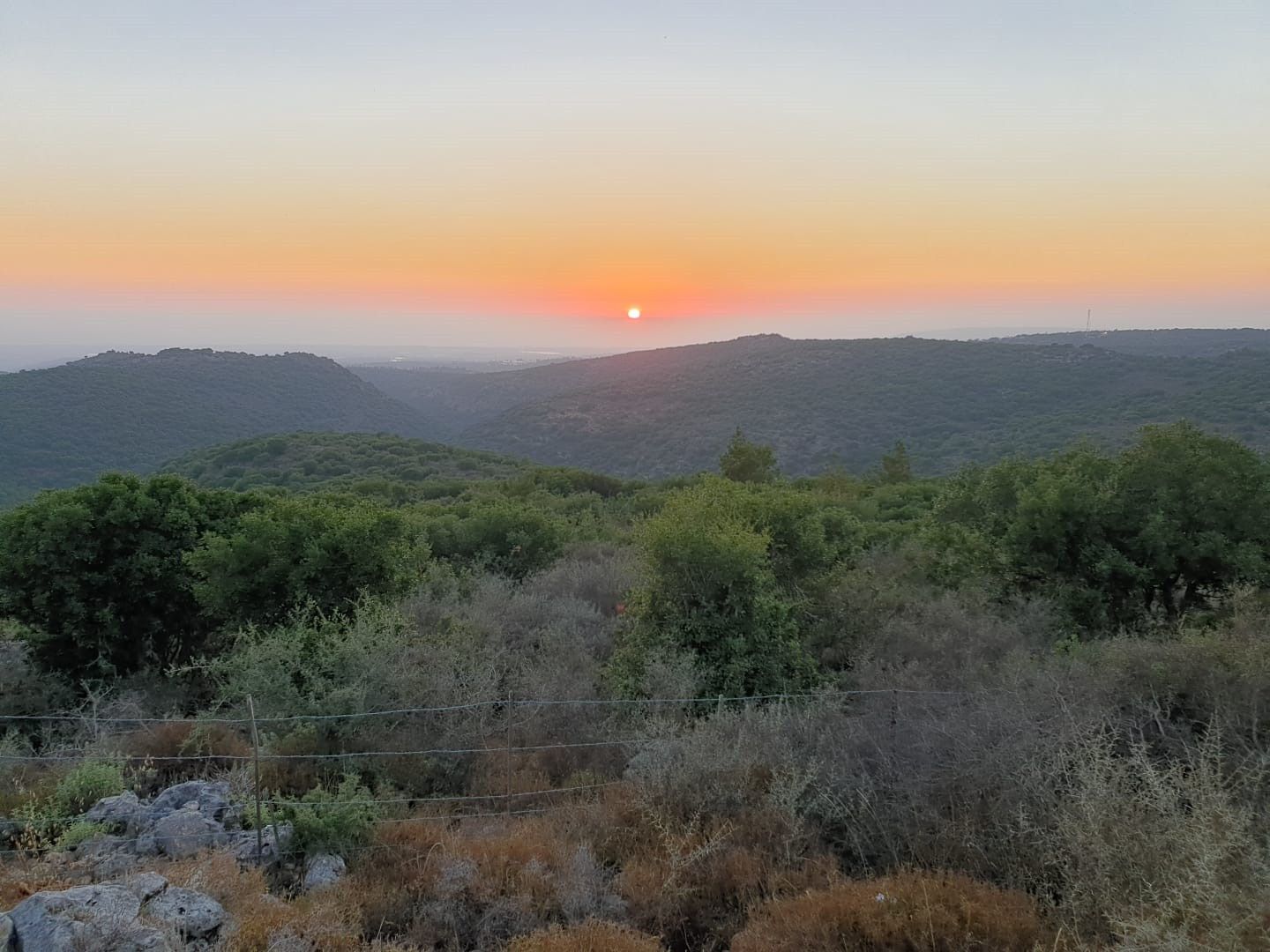 תצפית רומנטית במצפור גיא | צילום: עומרי אבידר