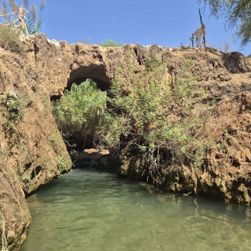 סיורים, מוזיקה וסדנאות לכל המשפחה: פסטיבל נחל צלמון הראשון