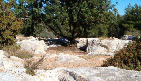 תמונה של טיול בשפלה: מסלול לחנוכה בעקבות המכבים - למטייל בישראל (טיולי)