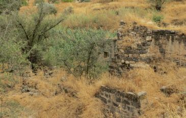 פארק בית שאן ותחנת הקמח - פארק בית שאן וטחנת הקמח (3)