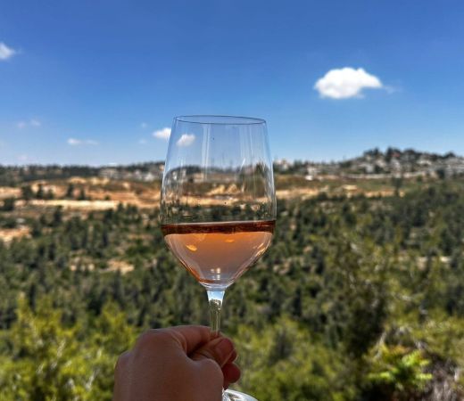 תמונה של במקום בורדו וטוסקנה - הנגב, הכרמל והגולן: נחשפה מפת אזורי היין של ישראל - למטייל בישראל (טיולי)