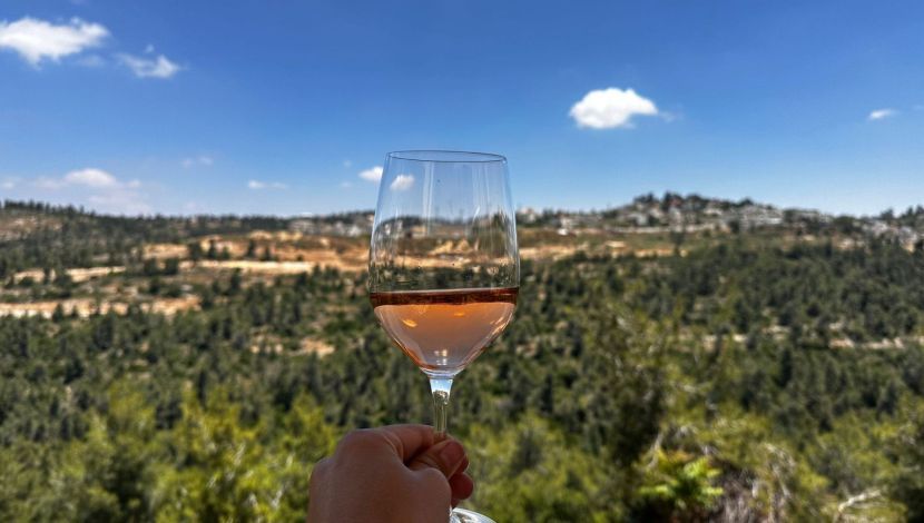 במקום בורדו וטוסקנה - הנגב, הכרמל והגולן: נחשפה מפת אזורי היין של ישראל (1)