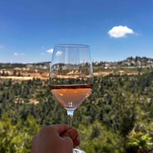 במקום בורדו וטוסקנה - הנגב, הכרמל והגולן: נחשפה מפת אזורי היין של ישראל