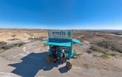 גלידה בלב מדבר, גאוני או גאוני? באדיבות: גלנדה יגר
