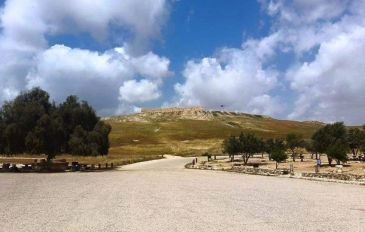 תל ערד - קטע מספר 27: מהר עמשא לערד (3)