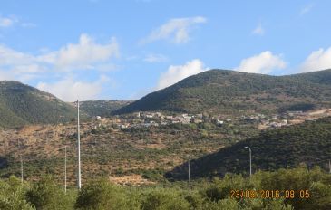 יופיו של האירוס הצנוע -אירוס הגלבוע (3)