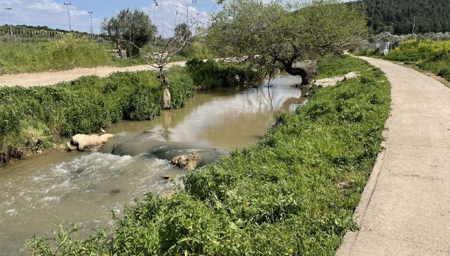 טיול בגווני הירוק לאורך טיילת נחל ציפורי | צילום: שיר בהר