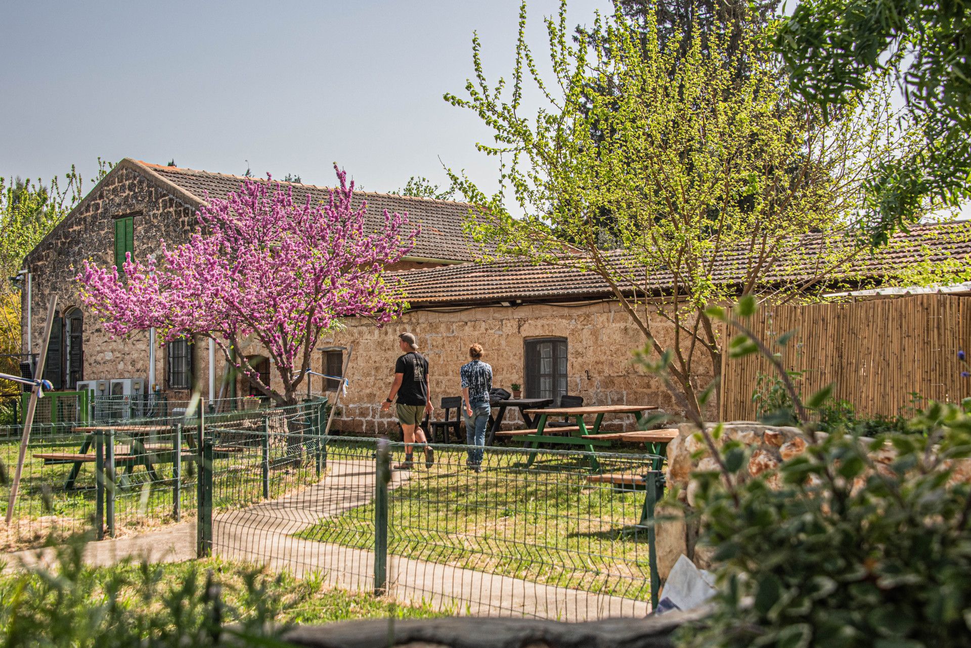לצאת למסע בזמן באחוזת דוברובין | צילום: dubrovinfarm