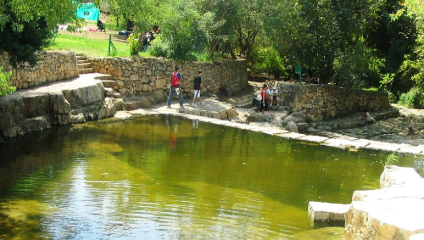 קיץ ברשות הטבע והגנים - פעילויות קיץ 2013 ברשות הטבע והגנים (1)