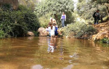 נחל צלמון - יום כיף באזור כרמיאל: טיול בנחל יפהפה ושלווה קסומה בלב העיר (3)
