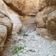 תמונה מתוך למטייל בישראל (טיולי)