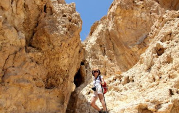 מעלה עלי - קטע מספר 30: מחניון מצד תמר למכתש הקטן (2)