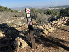 אירוס הסרגל - צילום של אלחי47 - למטייל בישראל (טיולי) 4