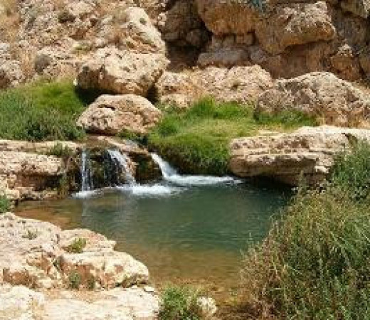 תמונה של צפון ים המלח - מומלצי המערכת - למטייל בישראל (טיולי)