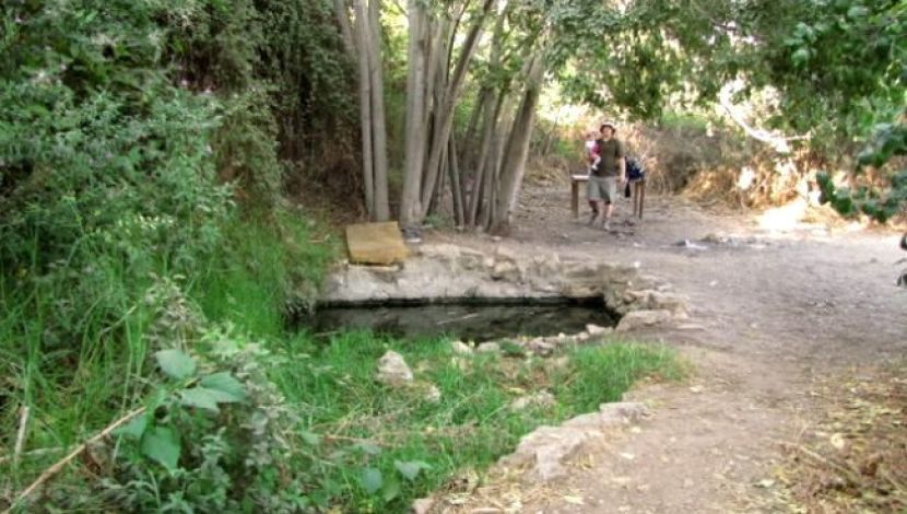 עין מקלף (1)