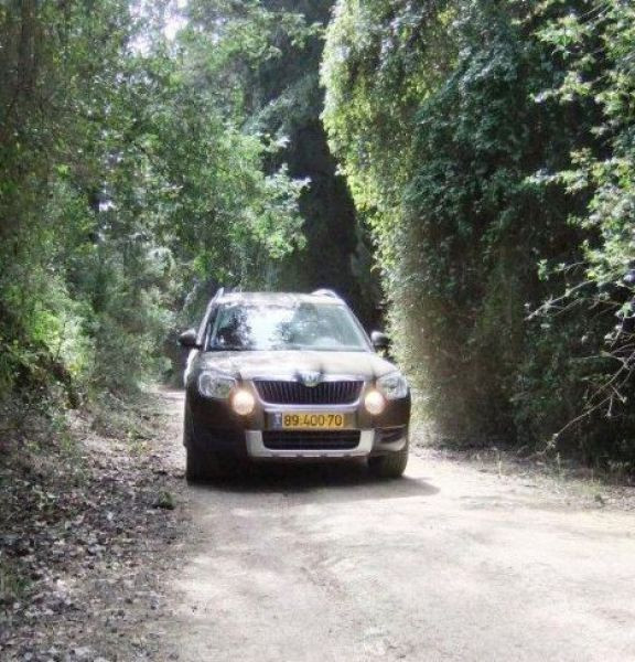 תמונה של פארק רמות מנשה ועין התאנה: טיול ג'יפים - למטייל בישראל (טיולי)