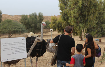 כיף בין הכלניות: האטרקציות הכי שוות בצפון הנגב (3)