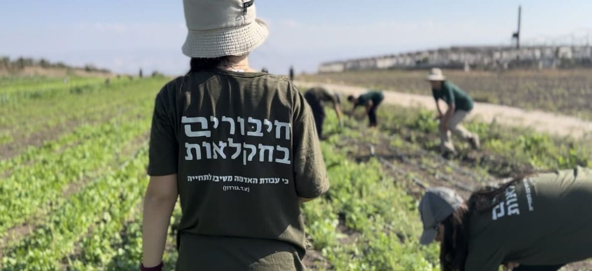 מצאנו לכם פעילות חינמית עם ערך מוסף לחנוכה (1)
