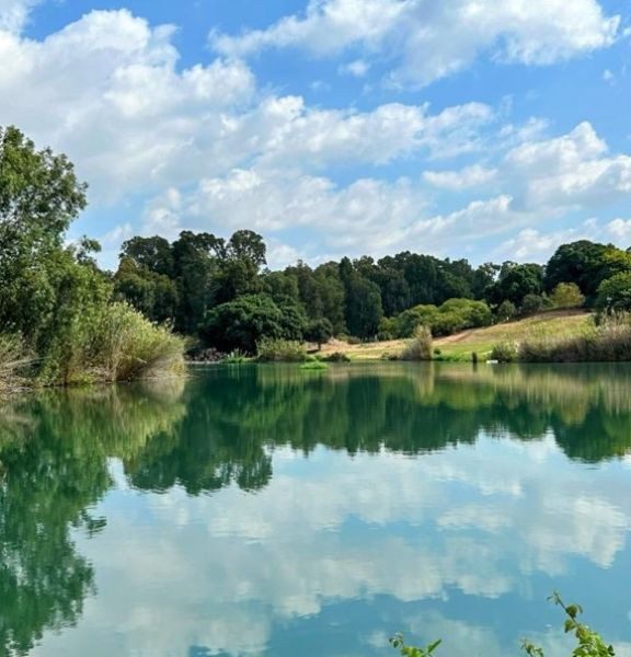 תמונה של תנו לטבע לנצח: כ-55,000 אלף מטיילים ביקרו בשמורות הטבע והגנים הלאומיים בשבת - למטייל בישראל (טיולי)